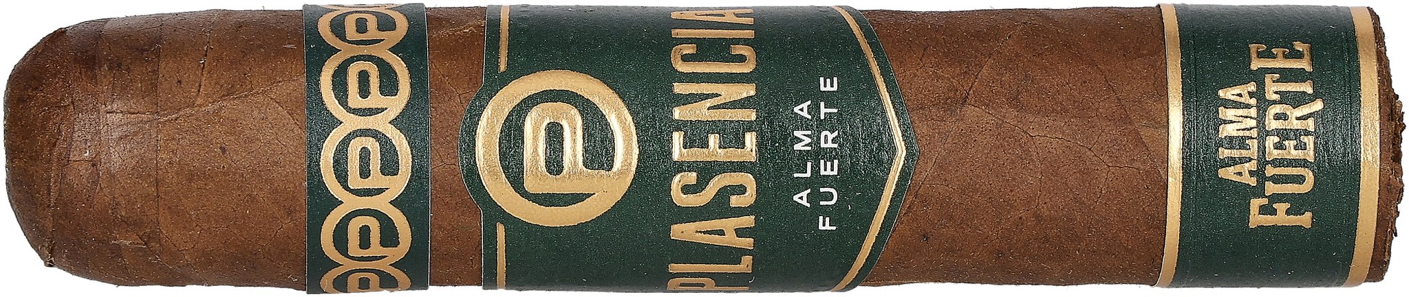 Robustus Corto Stick