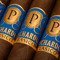 ACE Prime Cigars Pichardo Clasico Robusto Sumatra Detailbild
