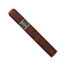 Rocky Patel Platinum Robusto